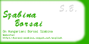 szabina borsai business card